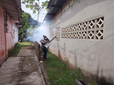 Dengue en Panamá: 20,581 casos y 38 muertes en lo que va de 2024