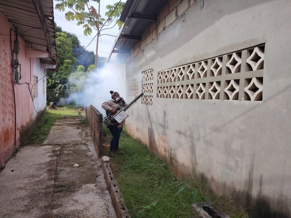 Dengue en Panamá: 20,581 casos y 38 muertes en lo que va de 2024