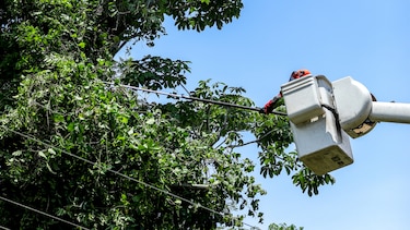 Trabajos de mantenimiento en la red eléctrica del 1 al 7 de septiembre 2025