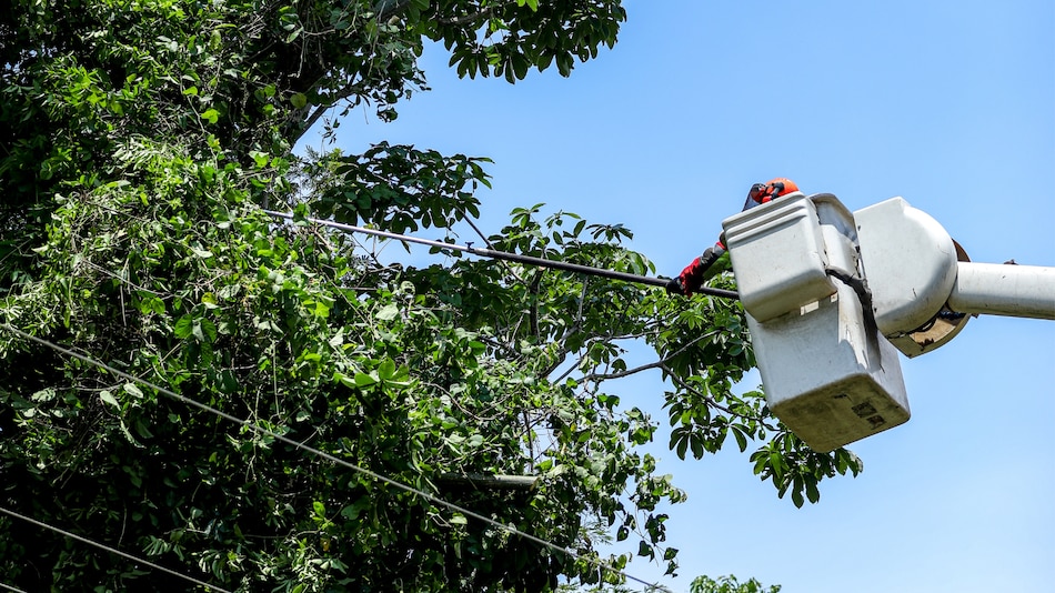 Trabajos de mantenimiento en la red eléctrica del 1 al 7 de septiembre 2025