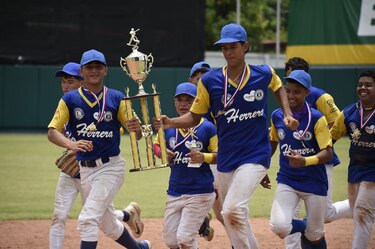 Herrera se proclamó campeón de la categoría Intermedia de Pequeñas Ligas