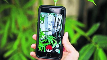 El sube y baja de Pokémon Go