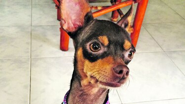 Tiana Marie es muy intrépida