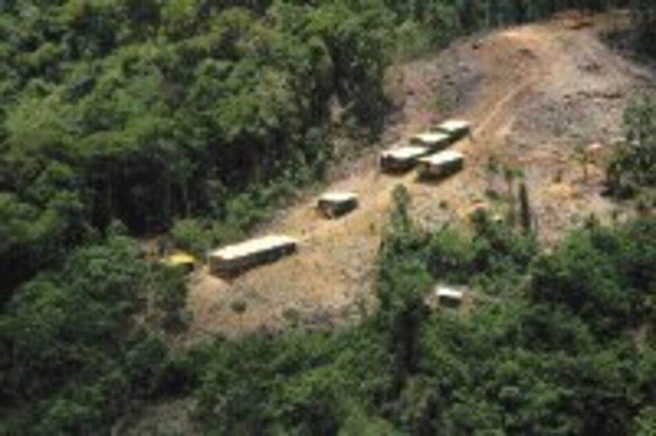 Regresa la ‘fiebre del oro’