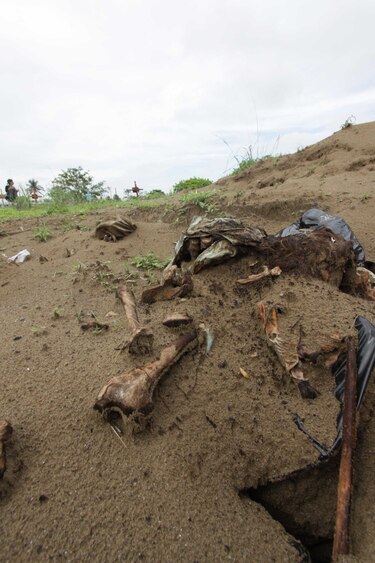 Regina Martínez: tras los pasos de una verdad enterrada