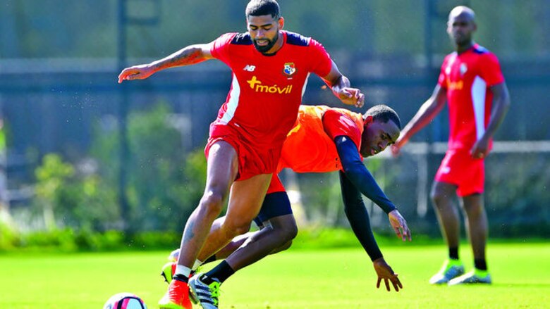 El trabajo del Gavilán