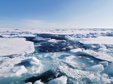 El océano Ártico permaneció abierto a la vida durante las glaciaciones