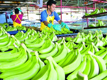 Del Monte recibe respuesta del Ejecutivo