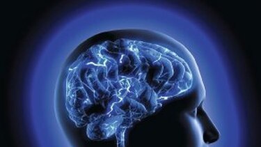Parte del cerebro que reconoce caras crece hasta la adultez