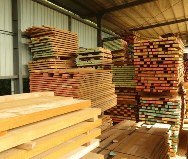 Panamá apunta a duplicar exportaciones de teca con sello sostenible