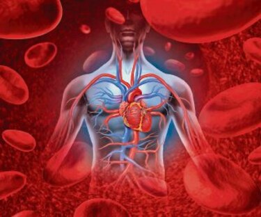 14 mitos sobre las enfermedades cardiovasculares