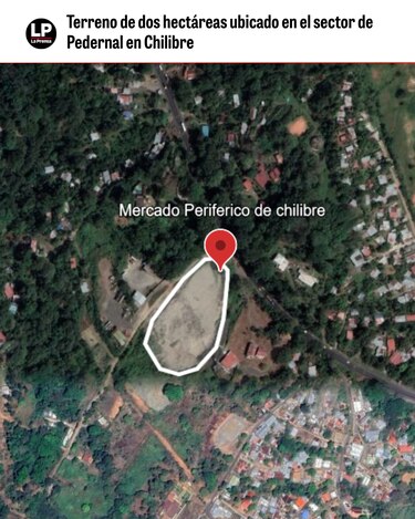 Mercado de Chilibre: las críticas del contralor contrastan con pagos autorizados en su gestión