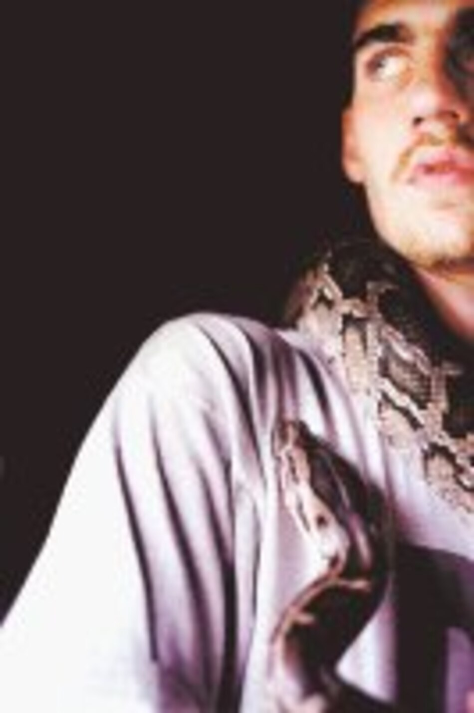 Compañeros de peligro