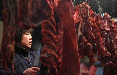 Virus peligrosos son introducidos a través carne de animales silvestres