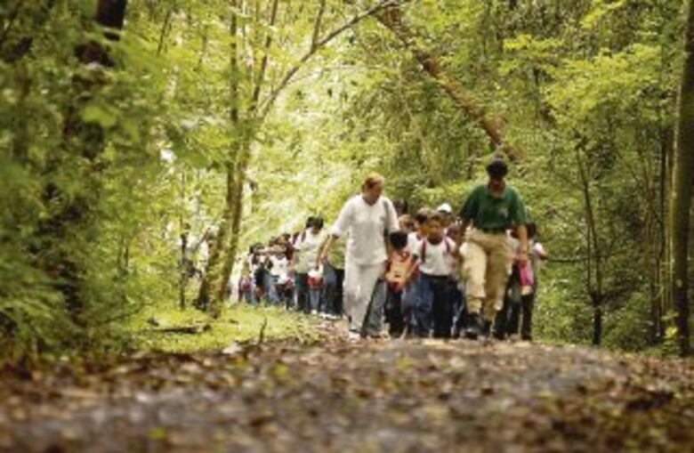 Aprender al aire libre