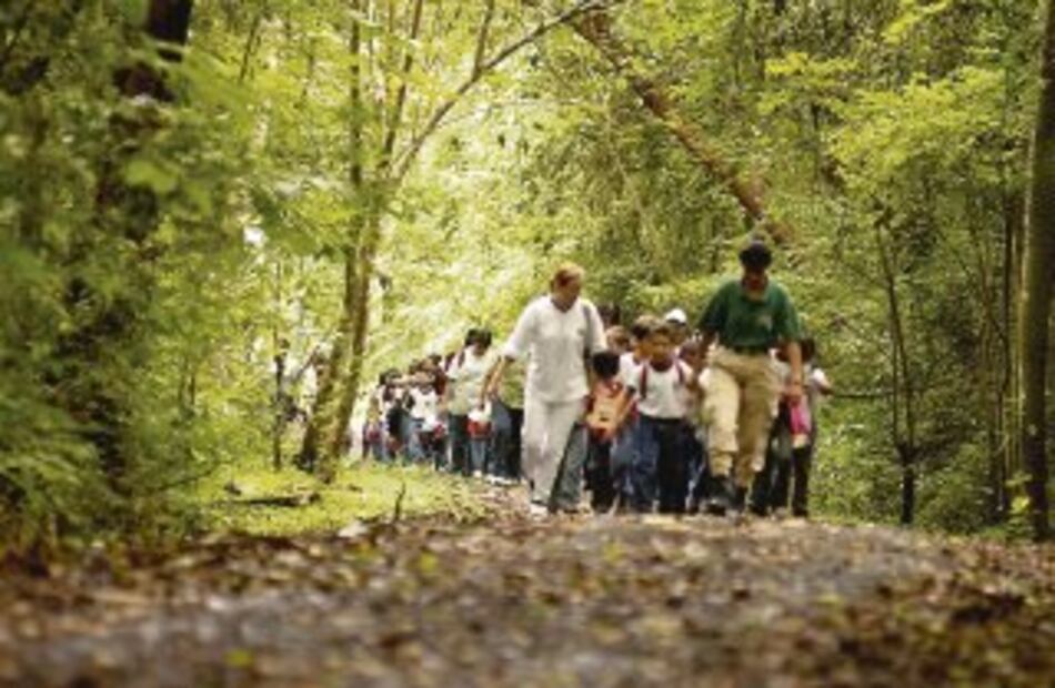 Aprender al aire libre