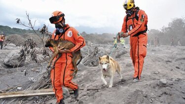 Reanudan la búsqueda de desaparecidos por erupción
