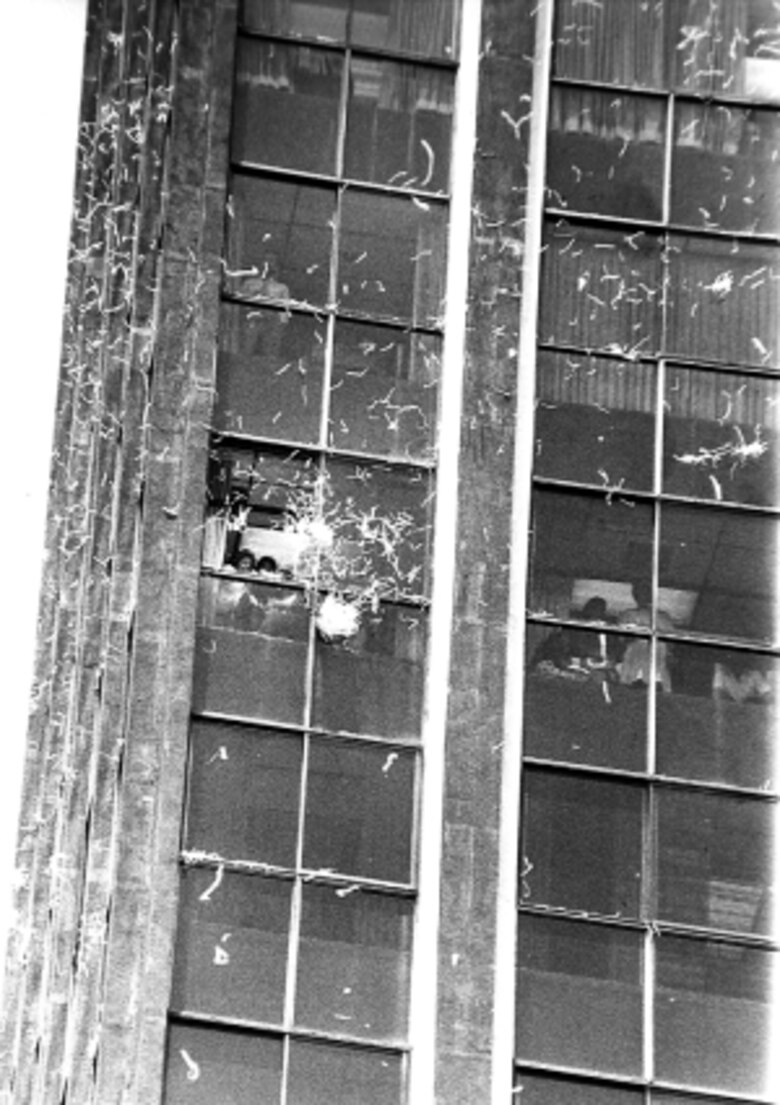 Cuando el pueblo vistió de blanco