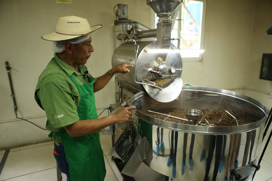 Cosecha sostenible de café en la cuenca del Canal
