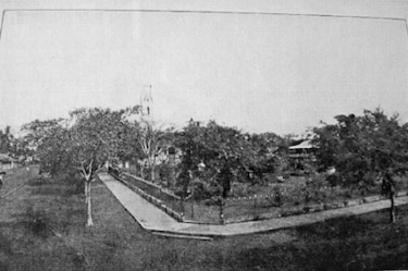 David en sus comienzos