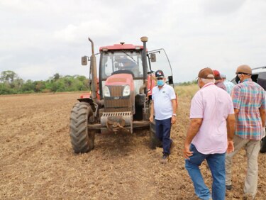 Producción de alimentos más allá del coronavirus
