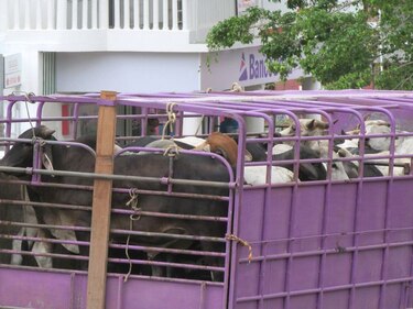 Se disparan los precios de la carne y el plátano