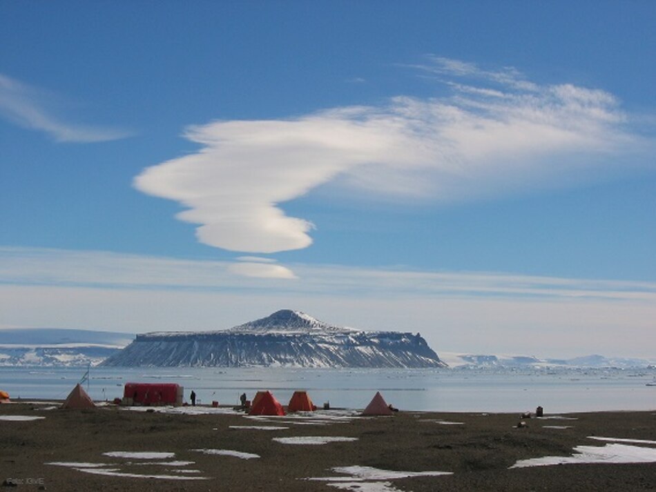 Hallan restos de piel fosilizada de pingüino de 43 millones de años en la Antártida
