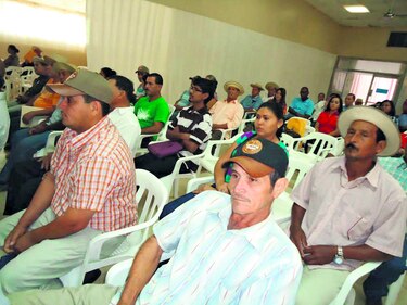 Pagan pólizas agrícolas atrasadas a 926 productores