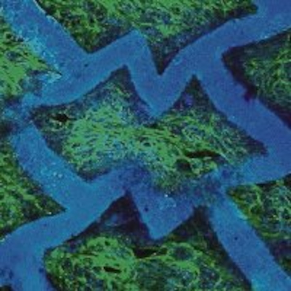 Parche para el corazón