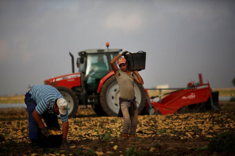 4 claves sobre lo que está pasando en la ciudad española en la que grupos de ultraderecha persiguieron a migrantes
