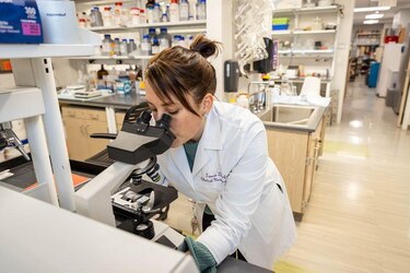 Cómo son los cerebros de los ‘superancianos’