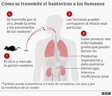 La carrera por ubicar pasajeros que bajaron del crucero antes de detectarse el hantavirus