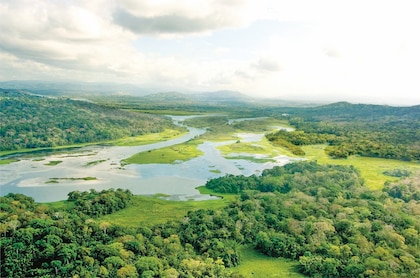 Logran sembrar 5 millones de árboles en la cuenca hidrográfica