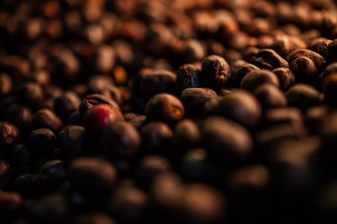 Cambio climático y escasez de mano de obra, los retos de la caficultura en Panamá