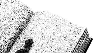 En busca de Cervantes