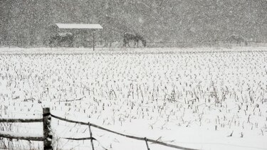 Estados Unidos sigue azotado por nevadas y temperaturas bajo cero