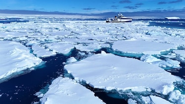 El calentamiento global está enfriando el Océano Antártico, según estudio