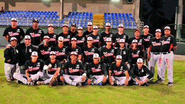 Los potros, en carrera
