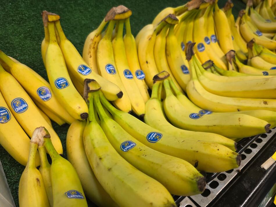 Gobierno se reunirá con representantes de Chiquita; proyectan exportar banano entre diciembre y enero
