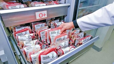 Mi sangre no vale