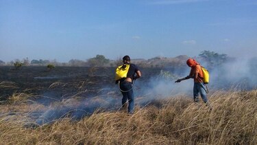 Fuego consume más de 100 hectáreas en Los Santos