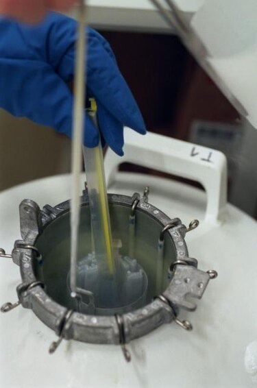 Aprueban terapia con células de sangre de cordón umbilical