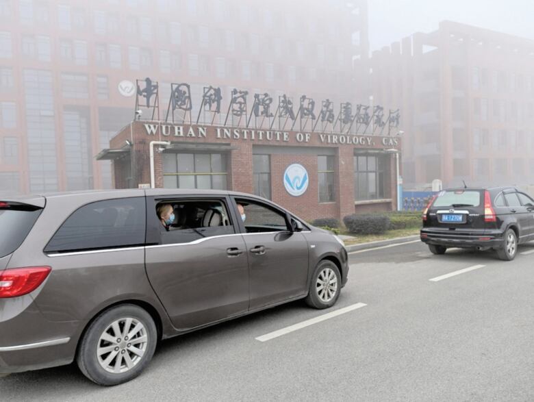 En busca del animal ‘vector’ del coronavirus