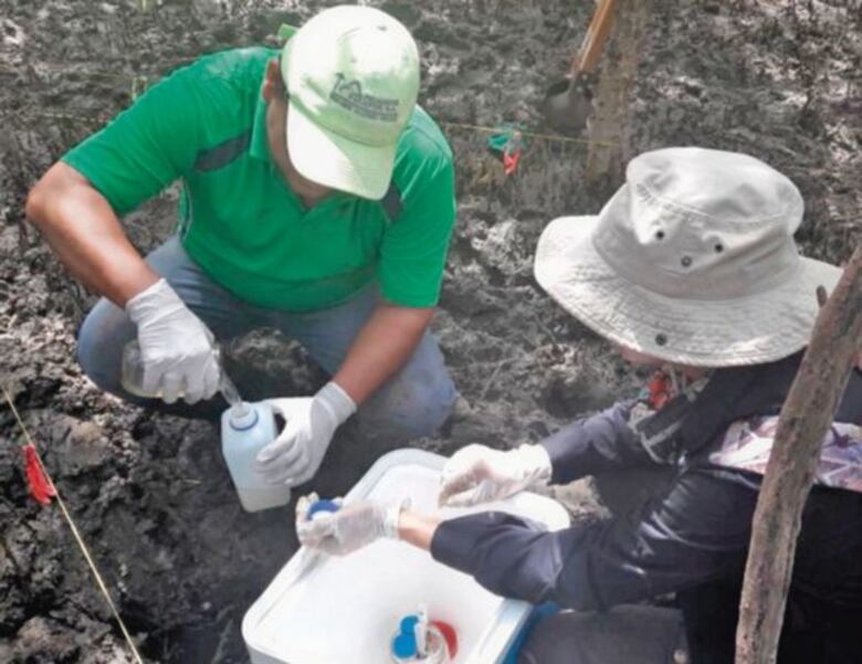 Mangles surfean el desecho