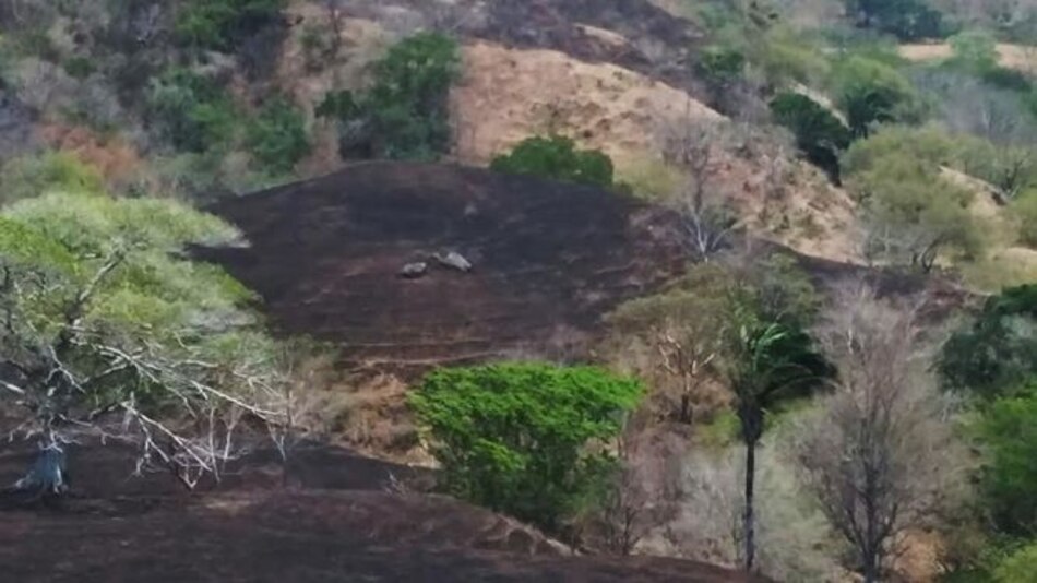 Incendios forestales destruyen más de 700 hectáreas en Los Santos