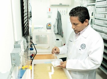 Avanza la licitación para el nuevo Campus Gorgas