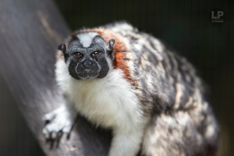 El Valle de Antón y su vocación turística