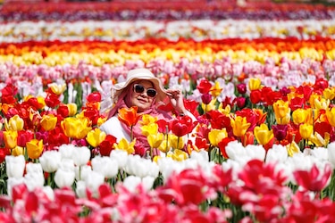 La Luna de las Flores iluminará el cielo este 1 de mayo ¿se verá en Panamá?