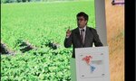 Estos son los retos para alimentar a América Latina