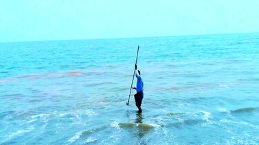 Identifican toxina en aguas de playas santeñas